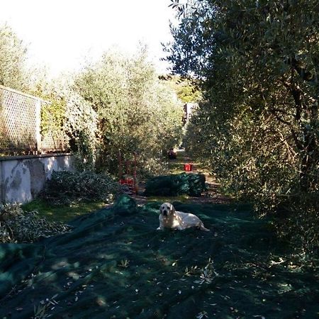 B&B La Grola San Martino Buon Albergo Zewnętrze zdjęcie