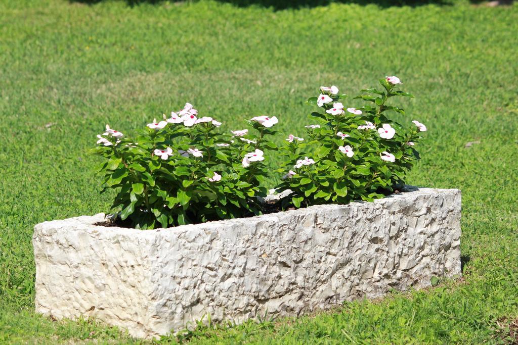 B&B La Grola San Martino Buon Albergo Zewnętrze zdjęcie