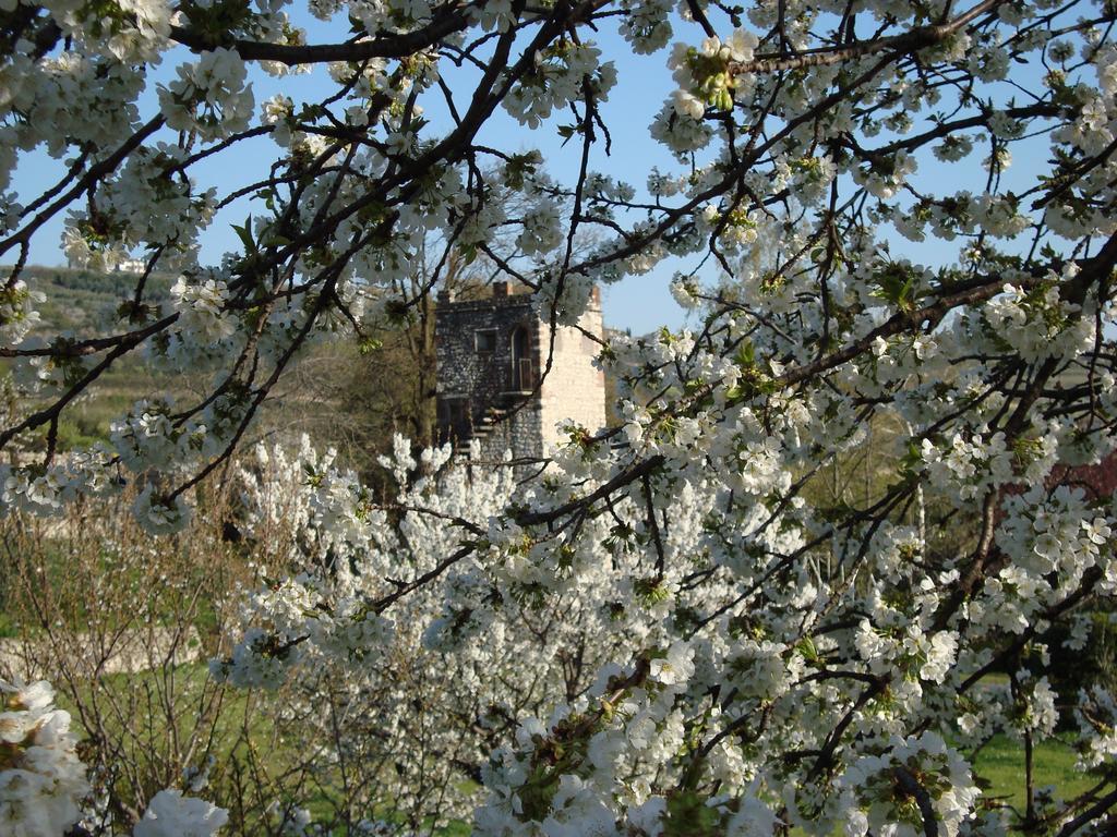 B&B La Grola San Martino Buon Albergo Pokój zdjęcie